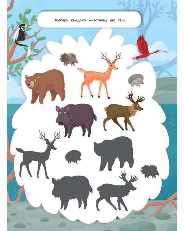 Найди и покажи. Животные