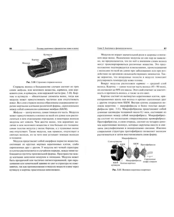 Основы анатомии и физиологии кожи и волос. Учебное пособие. ФГОС