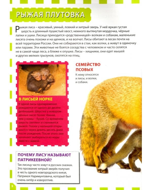 Детеныши животных