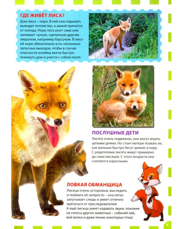 Детеныши животных