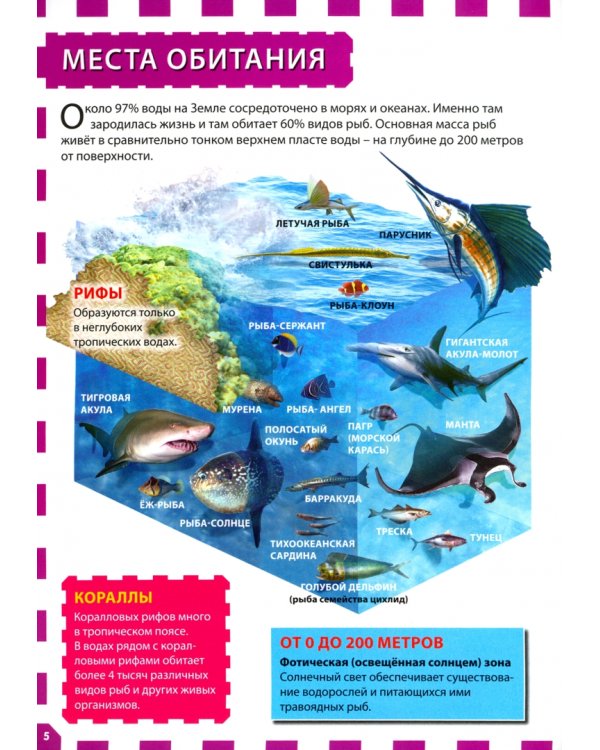 Подводный мир