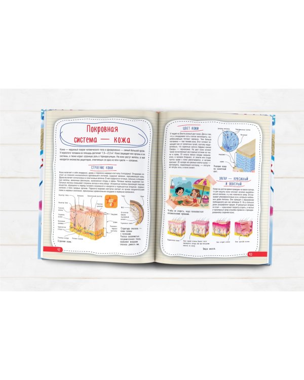 Атлас анатомии человека