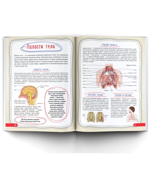 Атлас анатомии человека