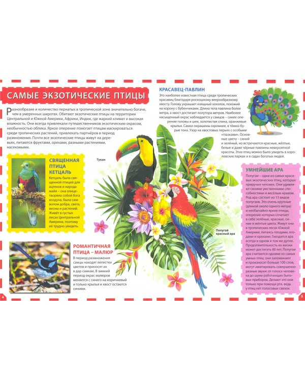 Экзотические птицы