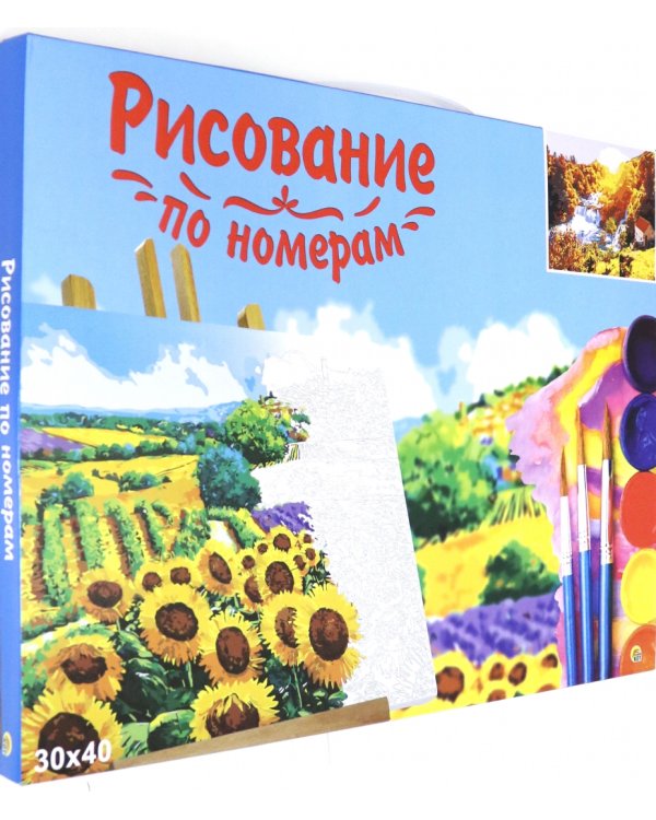 Холст с красками. Рисование по номерам. Домик в живописном месте, 30х40 см