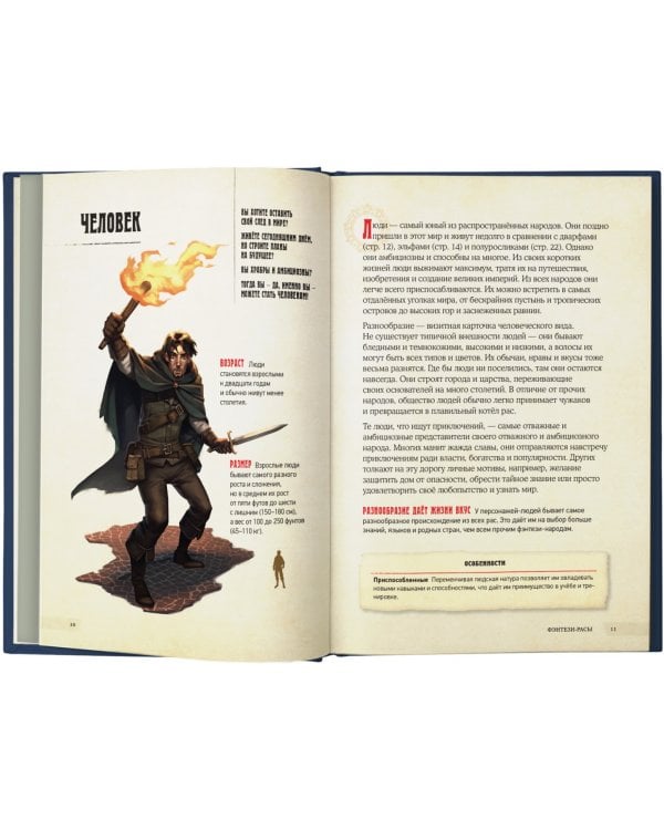 Dungeons &amp; Dragons. Герои и их снаряжение