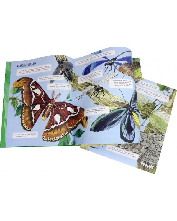 Большая книга о насекомых