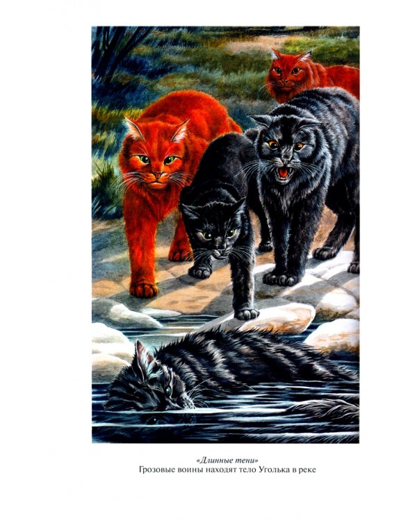 Длинные тени. Восход солнца