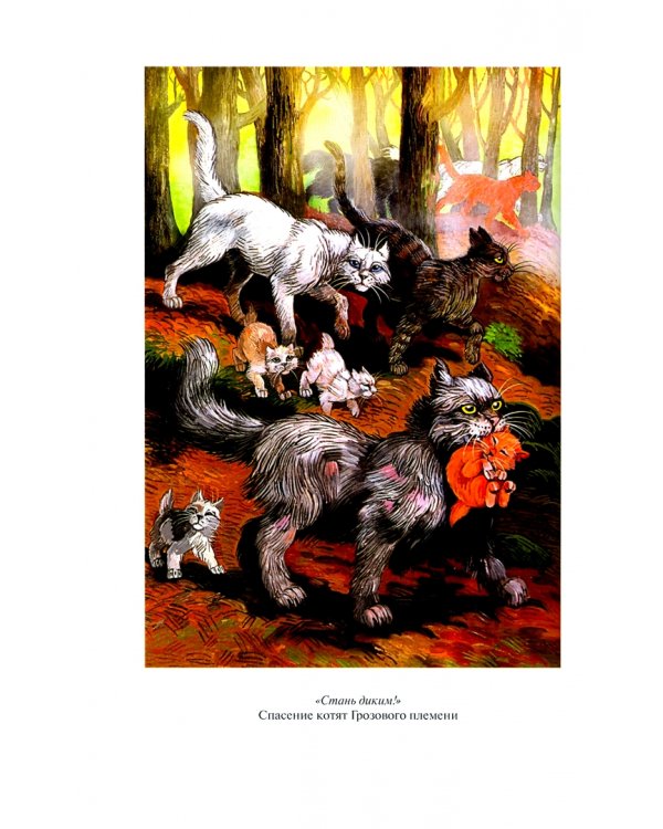 Коты-воители. Золотая коллекция. Том 1: Стань диким! Огонь и Лед