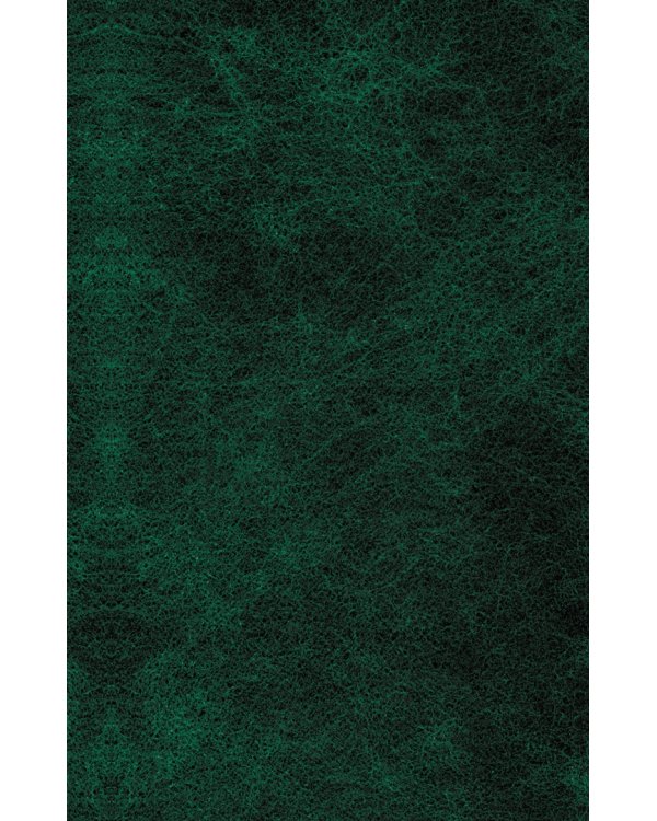 Унесенные ветром. В 2-х томах. Том 2