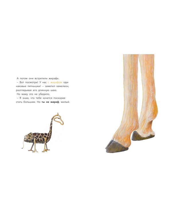 Большой вопрос маленького хамелеона