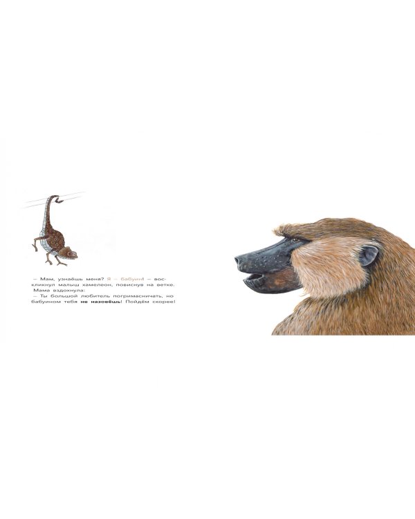 Большой вопрос маленького хамелеона