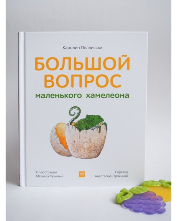 Большой вопрос маленького хамелеона