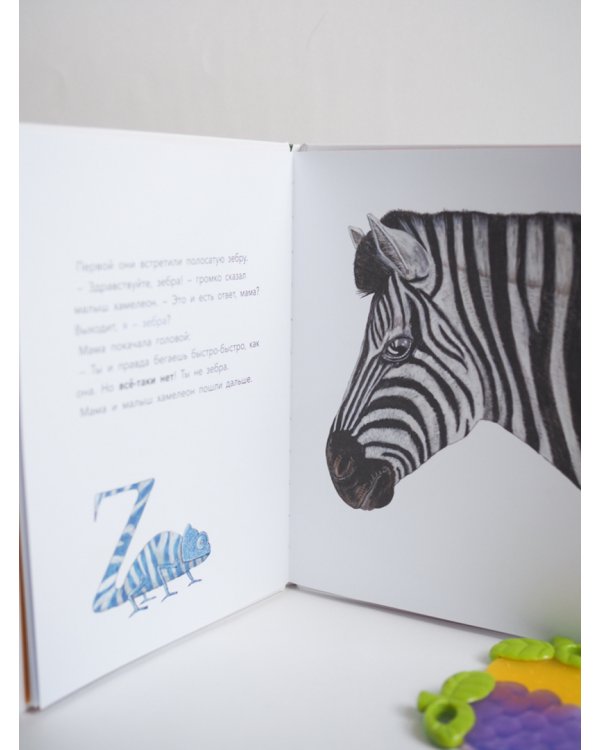 Большой вопрос маленького хамелеона