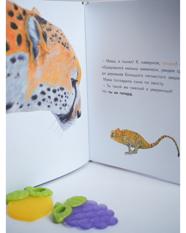 Большой вопрос маленького хамелеона