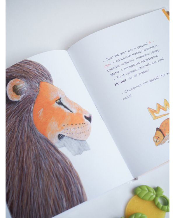 Большой вопрос маленького хамелеона