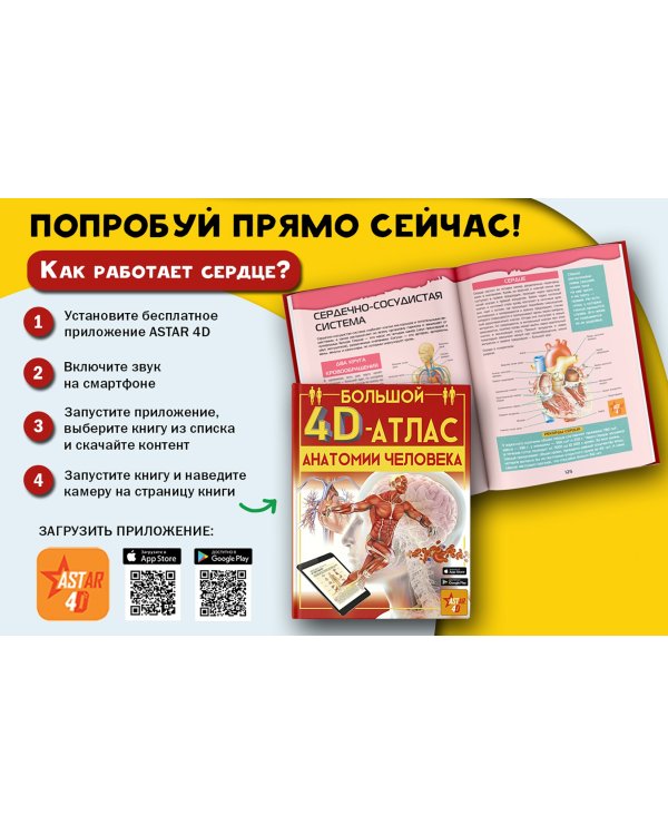 Большой 4D-атлас анатомии человека