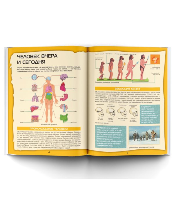 Большой 4D-атлас анатомии человека