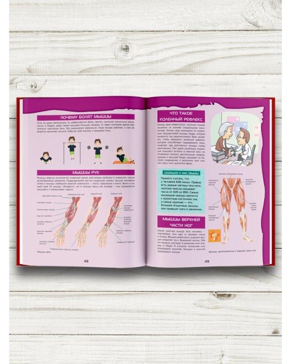 Большой 4D-атлас анатомии человека