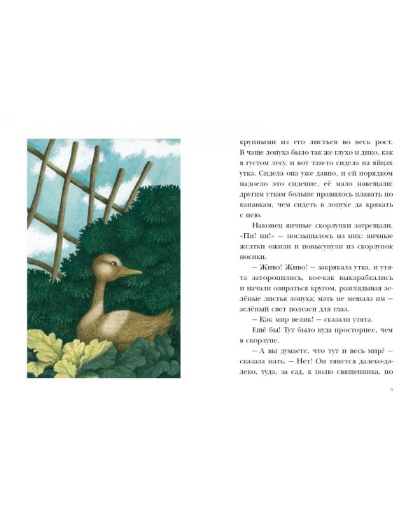 Гадкий утенок