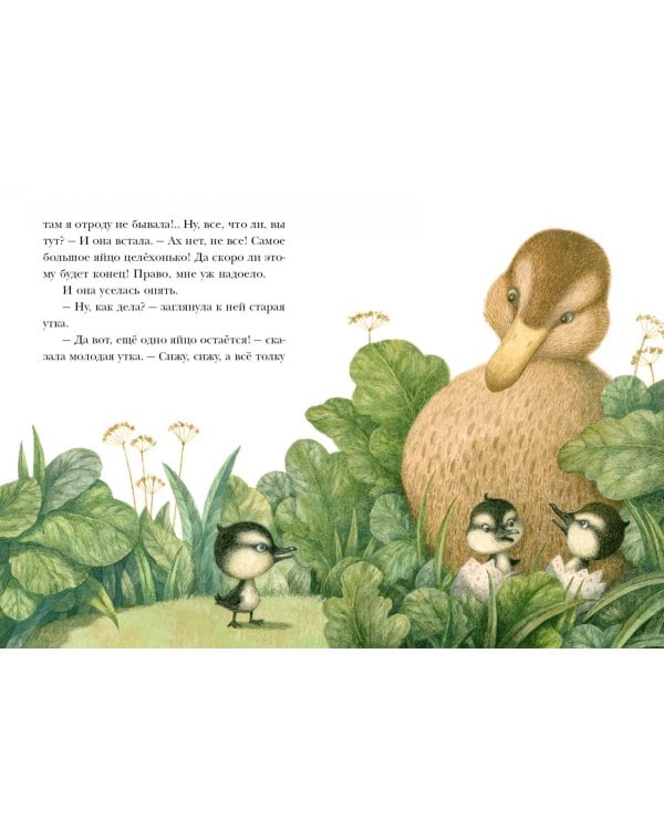 Гадкий утенок