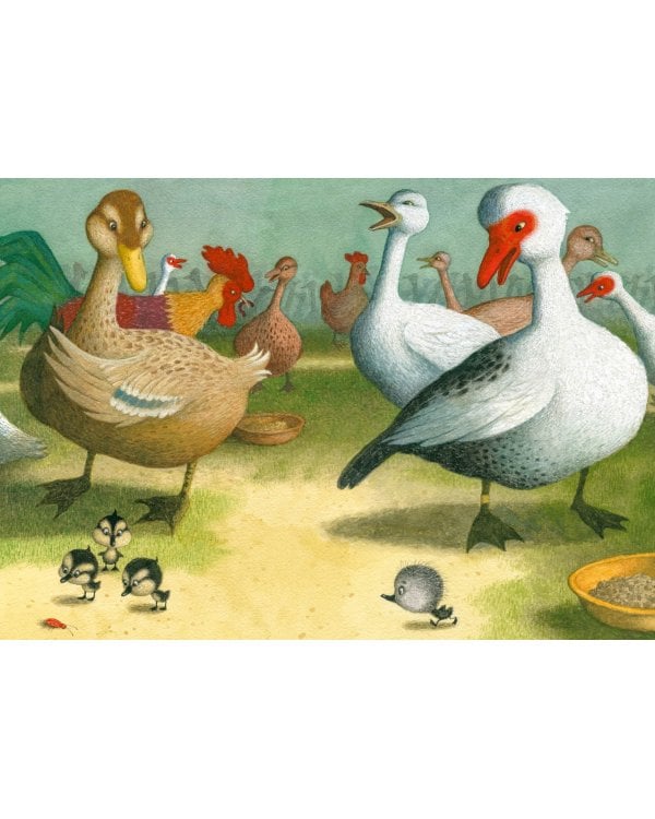 Гадкий утенок