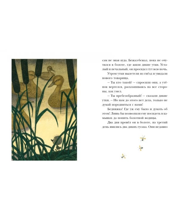 Гадкий утенок