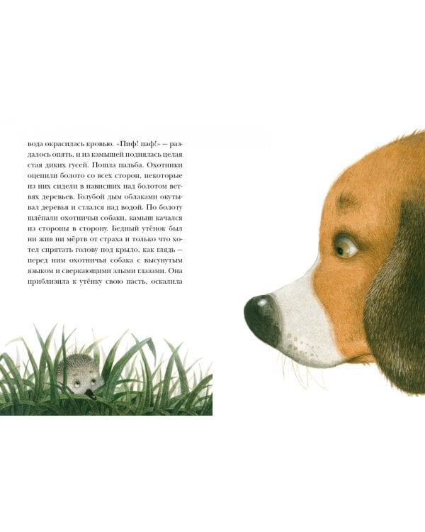 Гадкий утенок