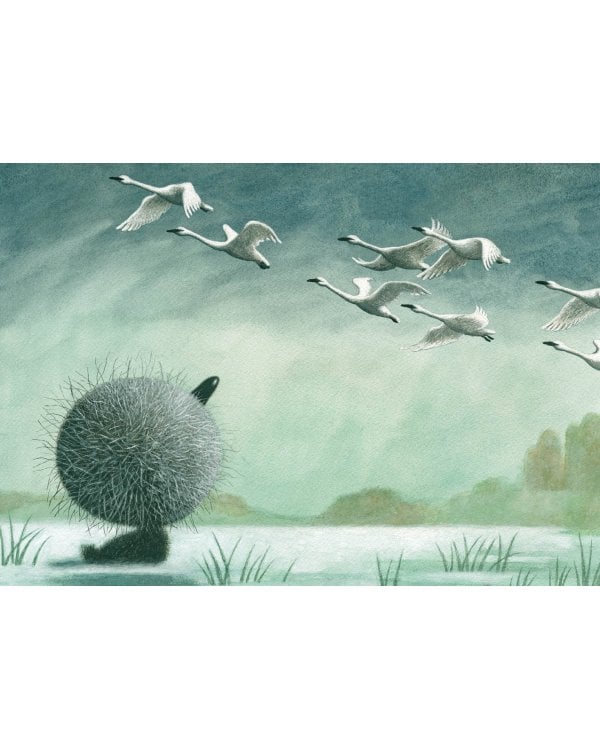 Гадкий утенок