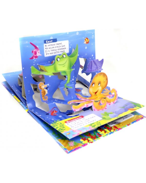 Кто живет в океане?