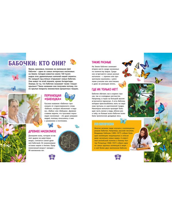 Бабочки. Детская энциклопедия