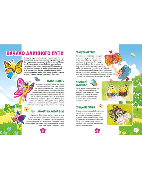Бабочки. Детская энциклопедия