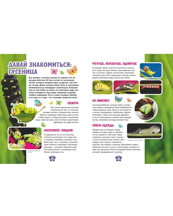 Бабочки. Детская энциклопедия