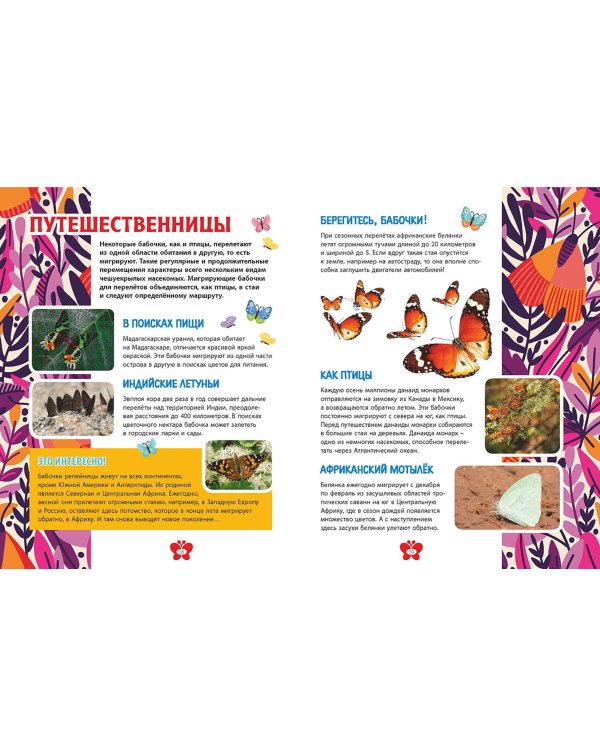 Бабочки. Детская энциклопедия