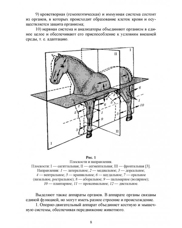 Основы анатомии и физиологии собак. Учебное пособие