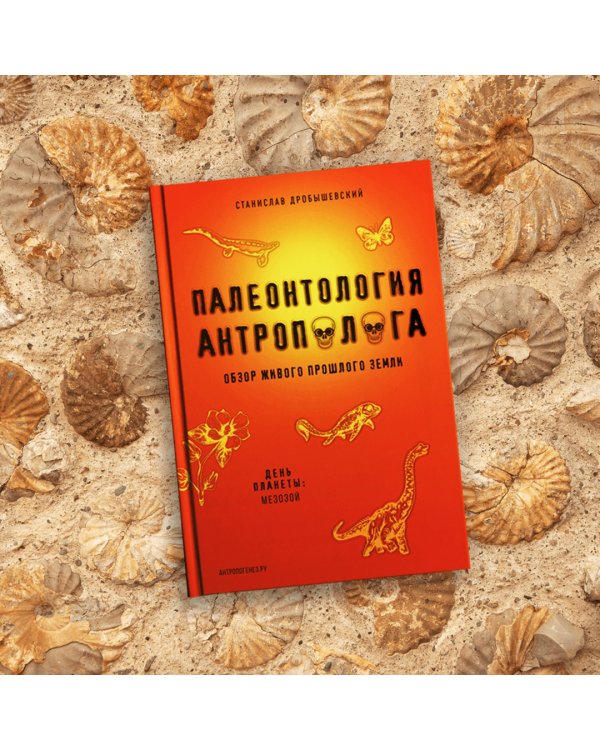 Палеонтология антрополога. Книга 2. Мезозой