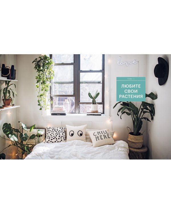 Окей, джунгли! Счастливая жизнь с растениями