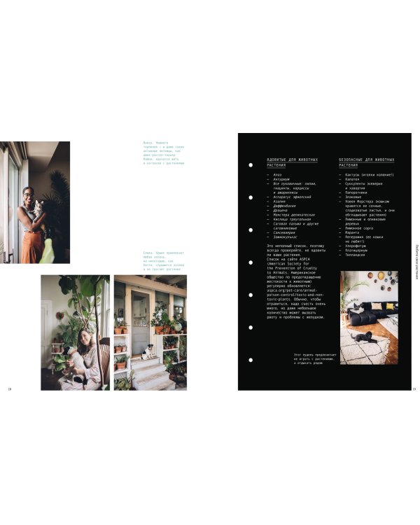 Окей, джунгли! Счастливая жизнь с растениями