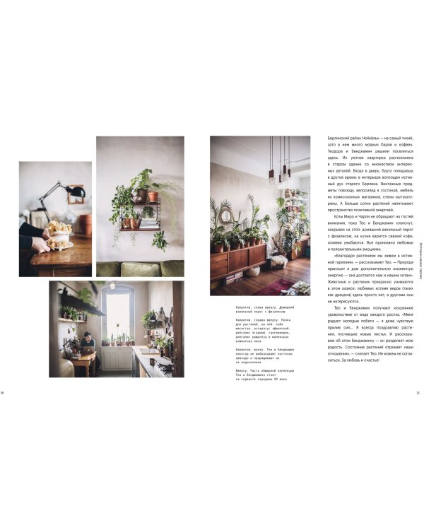 Окей, джунгли! Счастливая жизнь с растениями