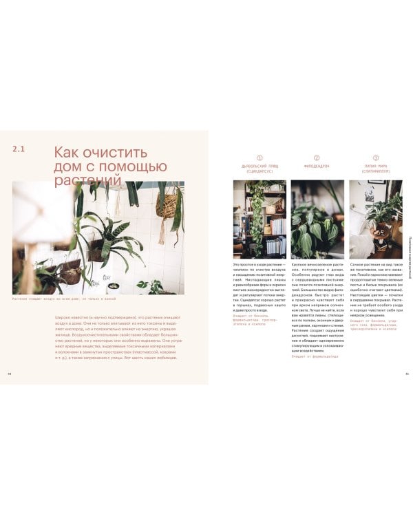 Окей, джунгли! Счастливая жизнь с растениями