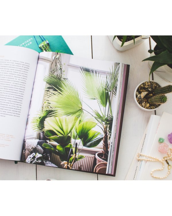 Окей, джунгли! Счастливая жизнь с растениями