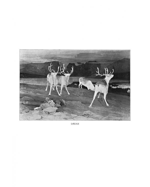 У самоедов.В стране холода и смерти