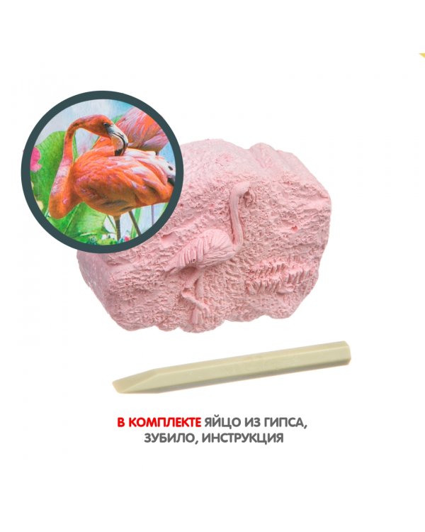 Исторические раскопки. Тайны веков. Фламинго