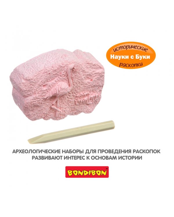 Исторические раскопки. Тайны веков. Фламинго