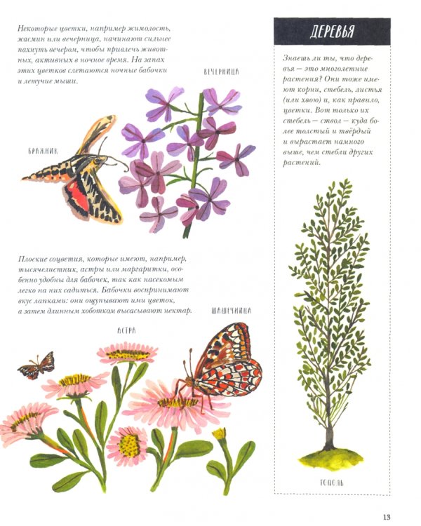 Природа вокруг нас. Растения и Деревья (2 книги в 1 томе-перевертыше)