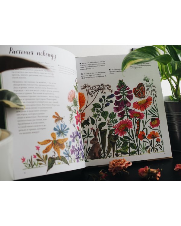 Природа вокруг нас. Растения и Деревья (2 книги в 1 томе-перевертыше)