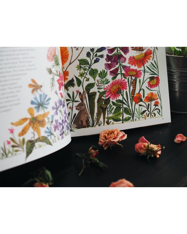 Природа вокруг нас. Растения и Деревья (2 книги в 1 томе-перевертыше)