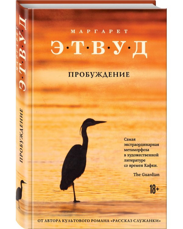 Пробуждение