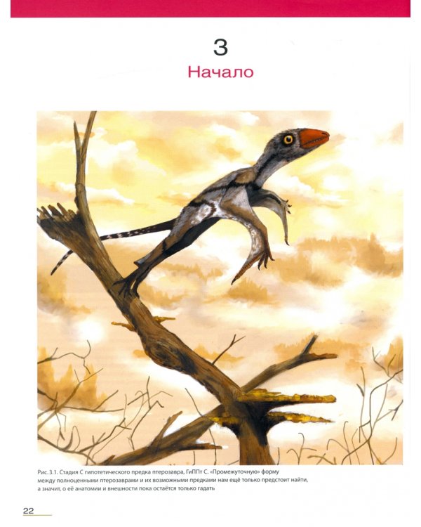 Птерозавры