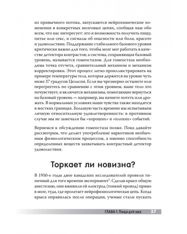 Без дна. Зависимости и как их победить